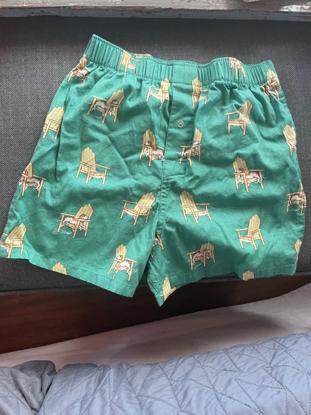 Boy's Green Printed Casual boxers